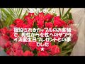 赤バラ50本の花束