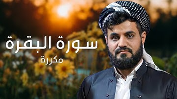 سورة البقرة مكررة القارئ رعد الكردي