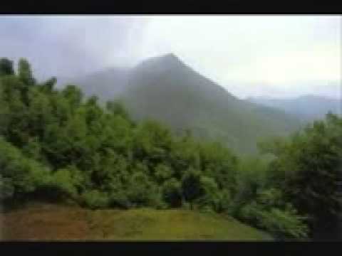 ف ل   گلهای رنگارنگ ۲۱۰ ب بنان حالا چرا