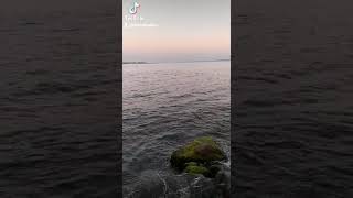 Yarına Ertelemeyin Hiçbir Şeyi, Çok Geç Olabilir Çünkü...