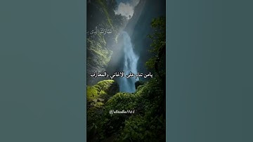 ان سورة من القران .. شفعت لرجل حتی غفر له ..