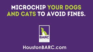 Houston BARC Animal Shelter & Adoptions