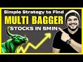 This simple strategy found multibagger stocks under 5 minutes  stock market for beginners