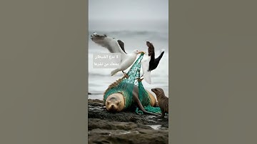 تلاوة خاشعة و هادئة تريح النفسية #تلاوة_خاشعة #تلاوة_هادئة #راحة_نفسية