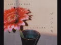 プルシュカ / indigo la End / covered by 杏那