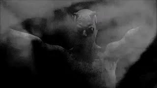 Die Form : Teufel Im Leibe (Revoiced Mix)