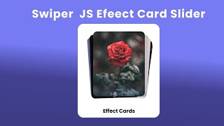 Effect Cards Swiper Slider | swiper js | Javascript