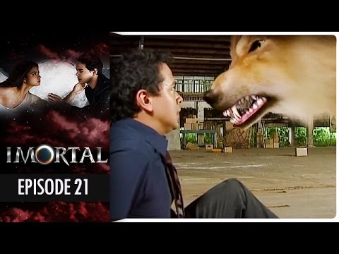  Imortal - Episode 21