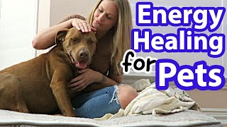 Is ENERGY HEALING for ANIMALS Bull$*%^? by In Ruff Company 1,237 views 3 years ago 9 minutes, 7 seconds