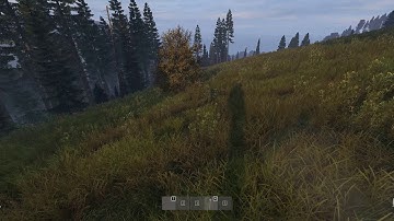 DayZ Shadow bug