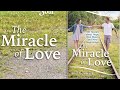 Chicken soup for the soul the miracle of love