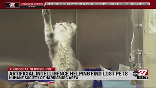Midstate animal shelter using AI to find lost pets