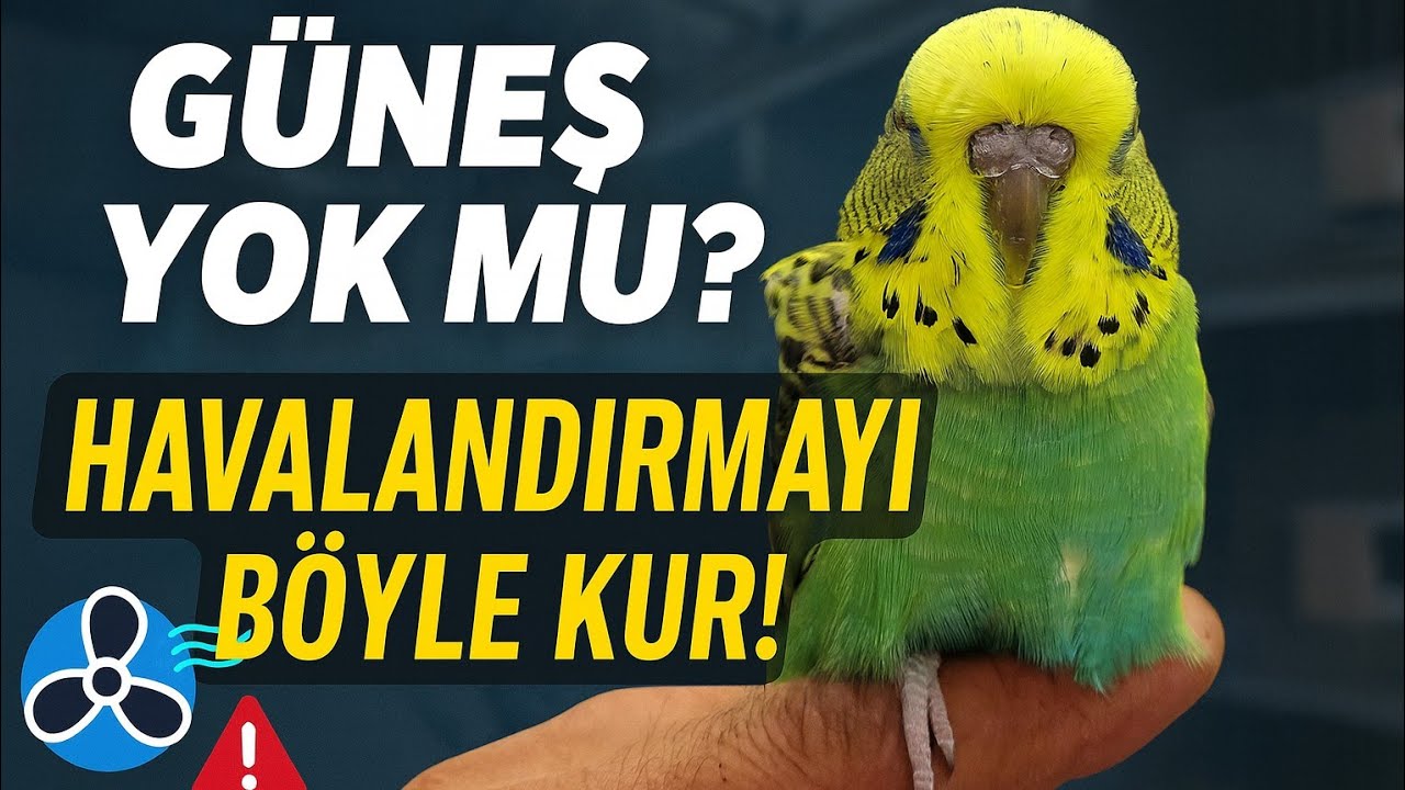 Güneş Görmeyen Muhabbet Kuşu Üretimhanesi - Bölüm 1 : Havalandırma