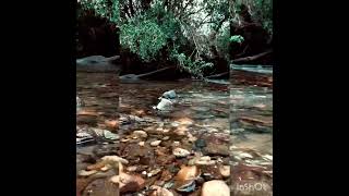 purring water with soft music ♥️