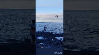 JORNADA DE PESCA DE SARGO Y VIEJA. TENERIFE