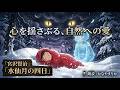 【朗読】吹雪の中で少年を救ったのは…宮沢賢治の隠れた名作『水仙月の四日』。切なすぎる雪山の奇跡。かなやまりか　朗読