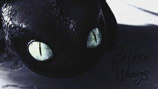Toothless Broken Wings Loop Edit