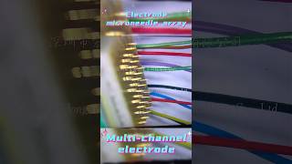 Concentric stimulating electrode,dual-channel electrode,stimulating electrode,electrode array