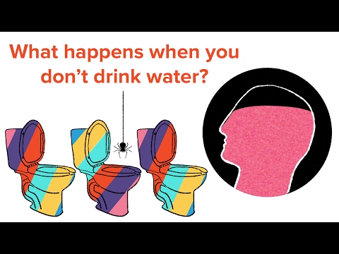 What Happens To Your Body If You Don't Drink Enough Water?