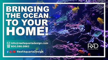 BRINGING THE OCEAN TO YOUR HOME