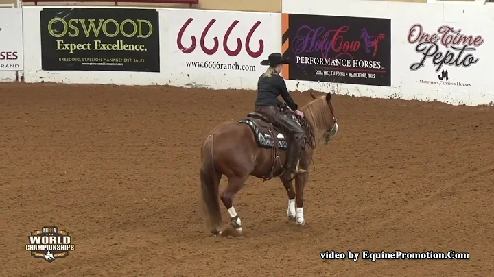 Shine Smarter ridden by Sarah L. Dawson  - 2018 Ce...