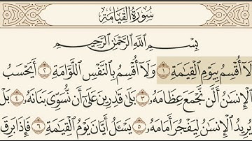 سورة القيامة مسموعة مكتوبة الشيخ يحى عيشان