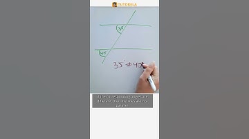 Are These Lines Parallel? Solving with Angles #Math #ParallelAndPerpendicularLines #ParallelLines