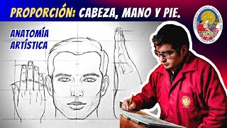 ANATOMÍA ARTÍSTICA: Proporción Cabeza, mano y pie.