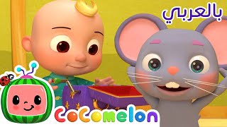 Cocomelon Arabic - NEW | أغاني كوكو ميلون بالعربي | اغاني اطفال ورسوم متحركة | أغنية رأس أكتاف