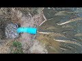 Amazing Deep Hole Trap Fish Uses PVC Get A Lot Of Fish-How To Deep Hole Trap Fish In My Country