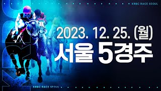 (서울) 2023.12.25 5경주