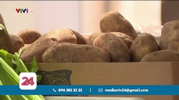 Nhà hàng Mỹ thay đổi mô hình kinh doanh để chống chọi khó khăn | VTV24