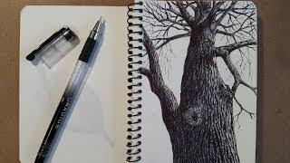 Рисуем дерево шариковой ручкой Рисуем дерево шариковой ручкой