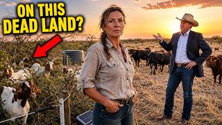 Everyone Said Her Ranch Was Finished—Then She Put Cattle and Goats on the Same Dying Land