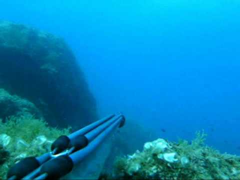 spearfishing , david badia , denton 6kg_0003.wmv