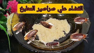 وداعا الصراصير المطبخ المستفزة اقسم بالله رهيييبه  عند تجربة
