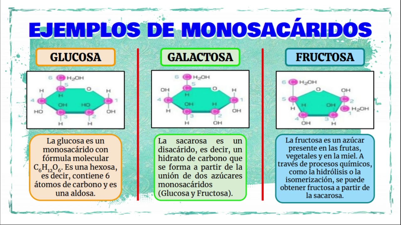 BIOLOGIA (Monosacáridos) - YouTube