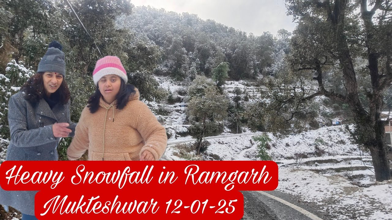 Heavy Snowfall in Ramgarh Mukteshwar  Nainital 12-01-25 🌨️ #snowfall #travel
