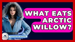 Exclusive What Eats Arctic Willow? - Polar Regions Uncovered Profile