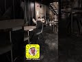 انا المخطي وانا ندمان انا المخطي وانا ندمان
