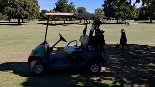 Goofy talking golfer with mustache describes tough shot between trees