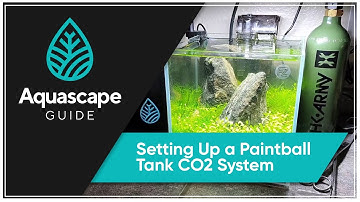 AquascspeGuide - Setting Up a Paintball Tank CO2 System