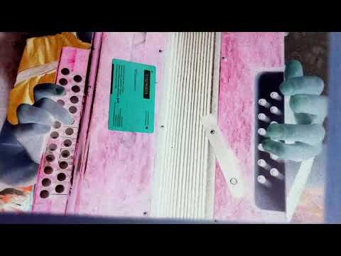 ღელეს მოაქვს ნაფოტი Разбор на гармошке Nardanina georgian dance Adjara аджарский танец гармонь Ефгр