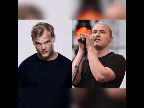 Avicii (feat. Mike Posner)- Gimme Dat