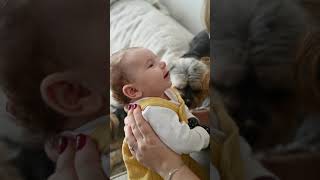 Amazing Needy Dogs Gets Jealous When Baby Gets All The Attention (CUTEST REACTIONS!!)