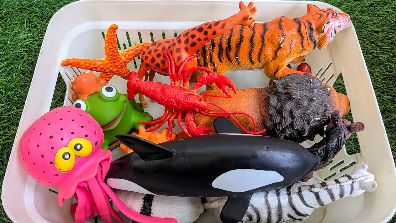 Изучайте морских животных вместе с дикими животными | Веселая корзина-сюрприз | Образовательное в...