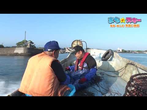 【まちが★スキー第129回】福岡・築上町 見習い漁師(福岡県・築上町) FBS福岡放送 2020年9月19日／NIB長崎国際テレビ 2020年9月25日放送分