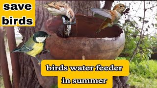 Birds water feeder | How to make bird water feeder | Helpful for birds in summer | Saleem jsd