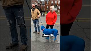 This Judges Decision Shocked Everyone 