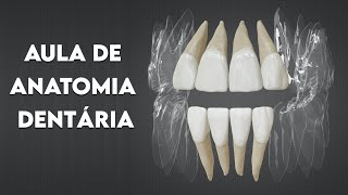 Aula de Anatomia Dentária (Curso de ASB)